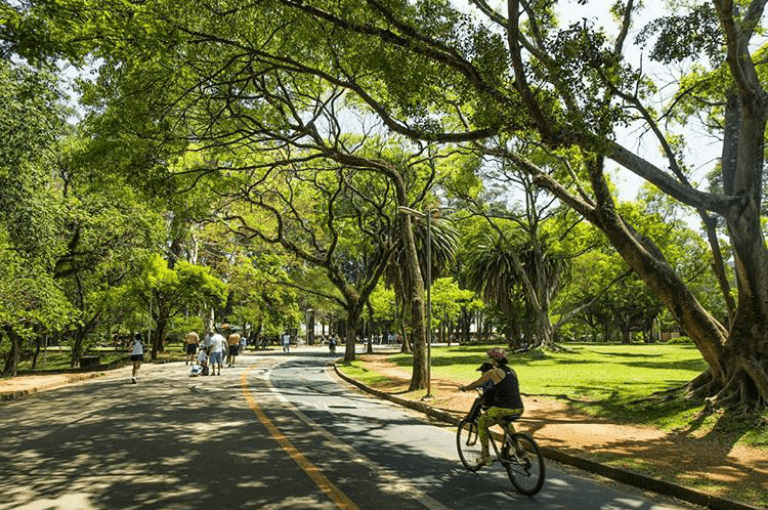 Parque Ibirapuera de dia